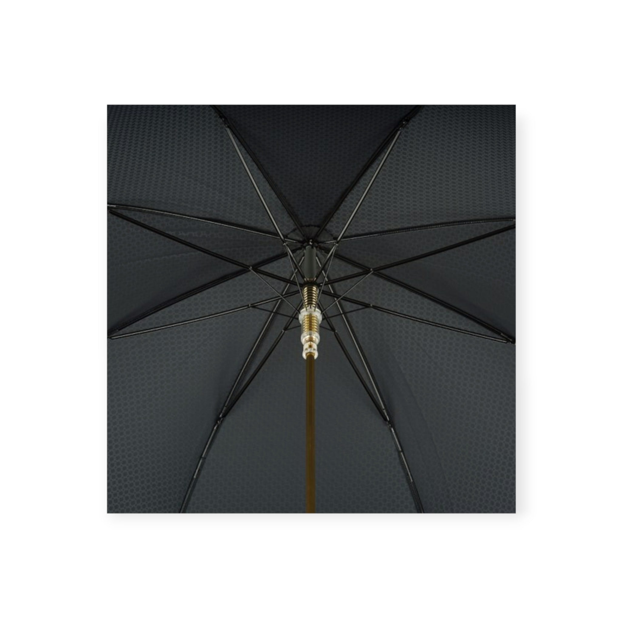 Inside view of opened Pasotti Lion umbrella 
